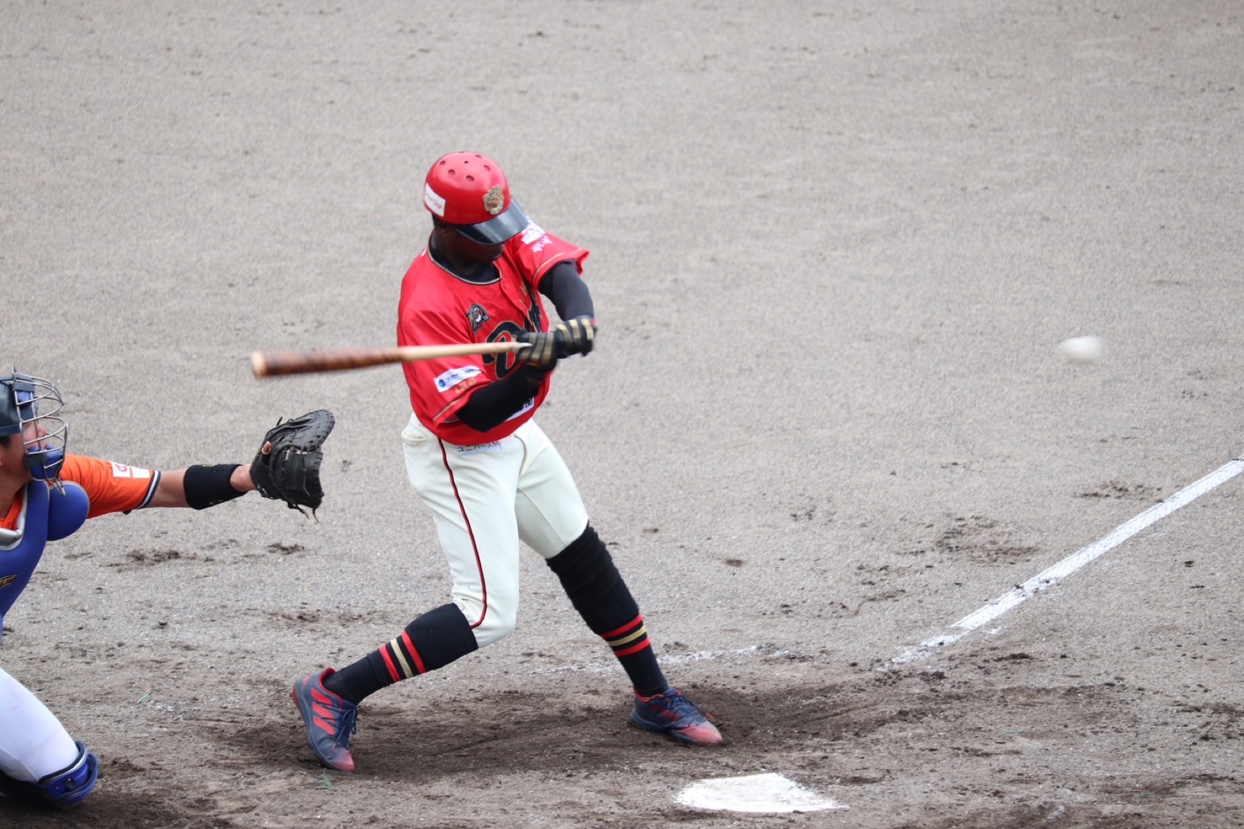 Kochi Fighting Dogs player batting during a league game